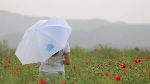 promotional leave behinds2