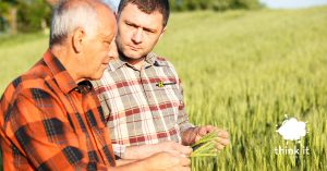 renk-seed-corporate-store-case-study